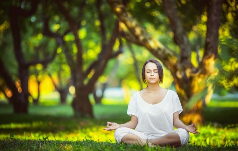 世界杯热门比分-北美主场阵容预测持续升温，赛前新闻与赛程安排成关注焦点